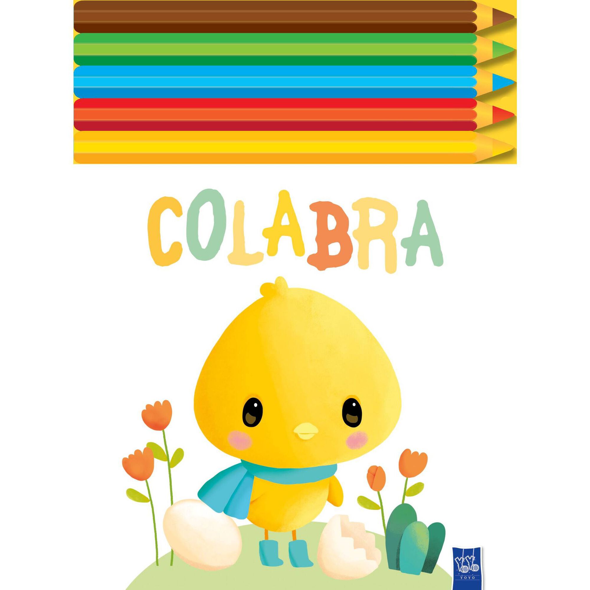 Colabra - Pato