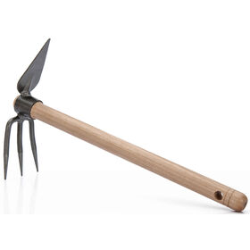 Sacho (Diabito) de Jardim