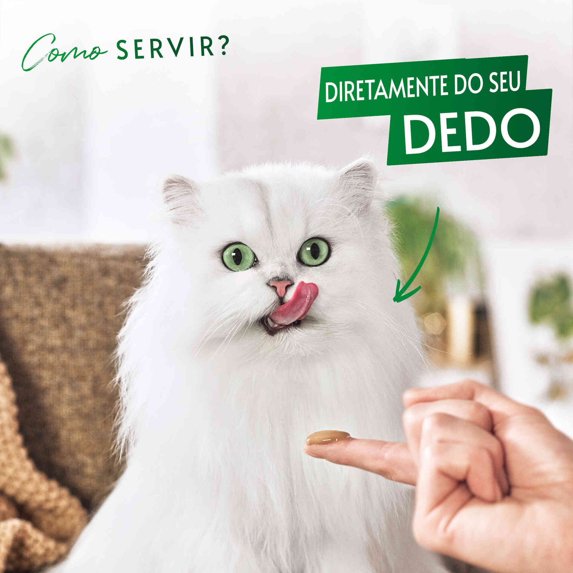 Snack para Gato Adulto Pur&eacute; Salm&atilde;o