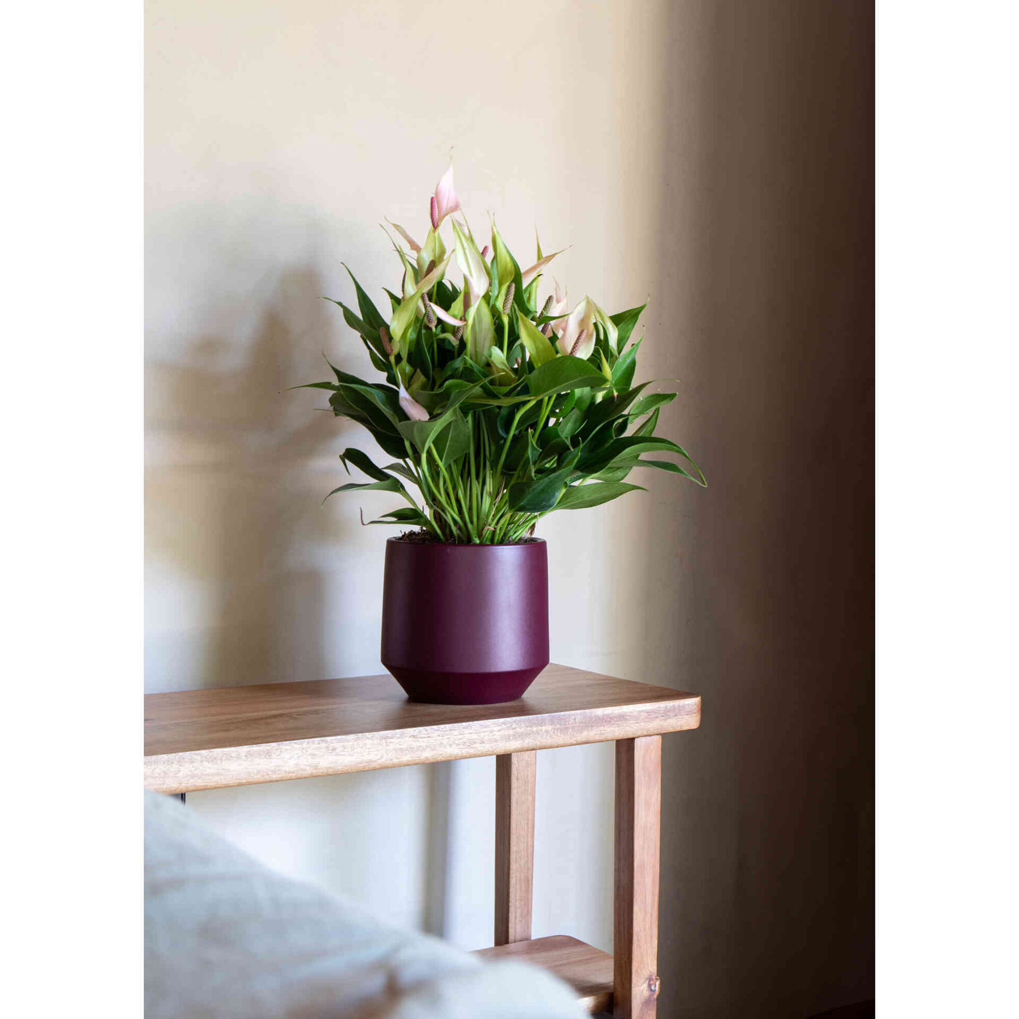 Vaso Redondo Faiança 17cm Branco