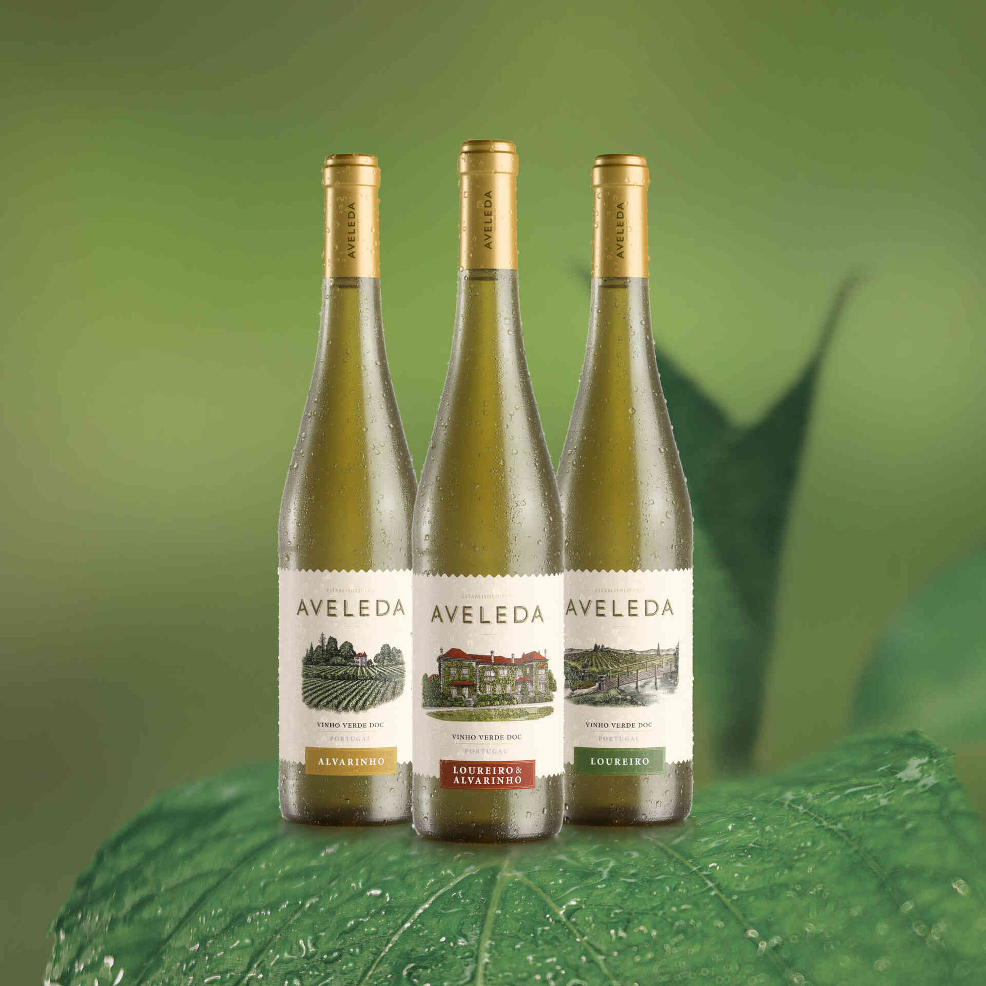 Vinhos Brancos Aveleda