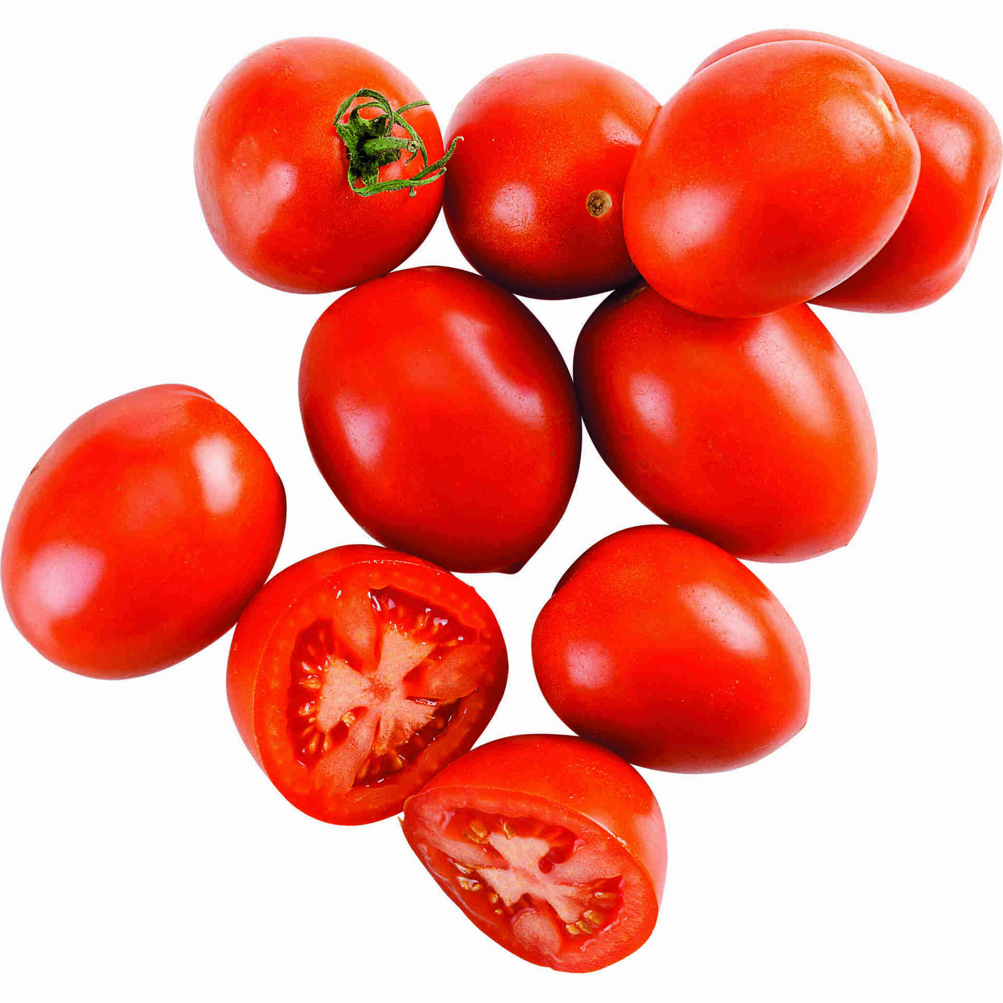 Tomate Chucha Biológico