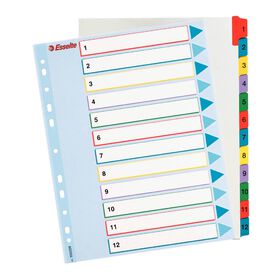 Separador 12 Divisórias A4 Polipropileno