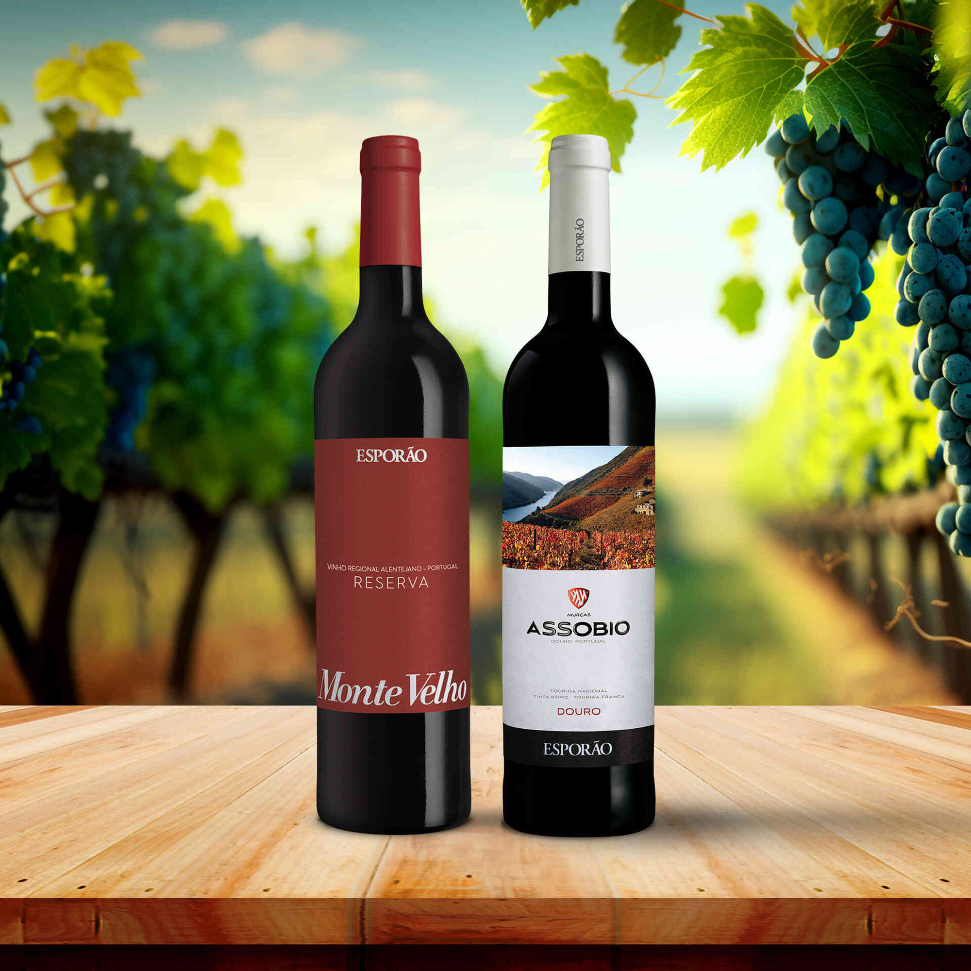 Vinhos do Douro ao Alentejo