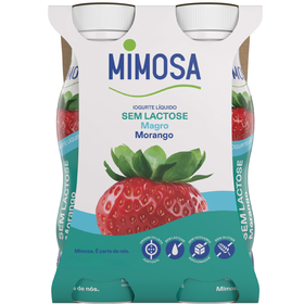 Iogurte Líquido Magro Morango sem Lactose