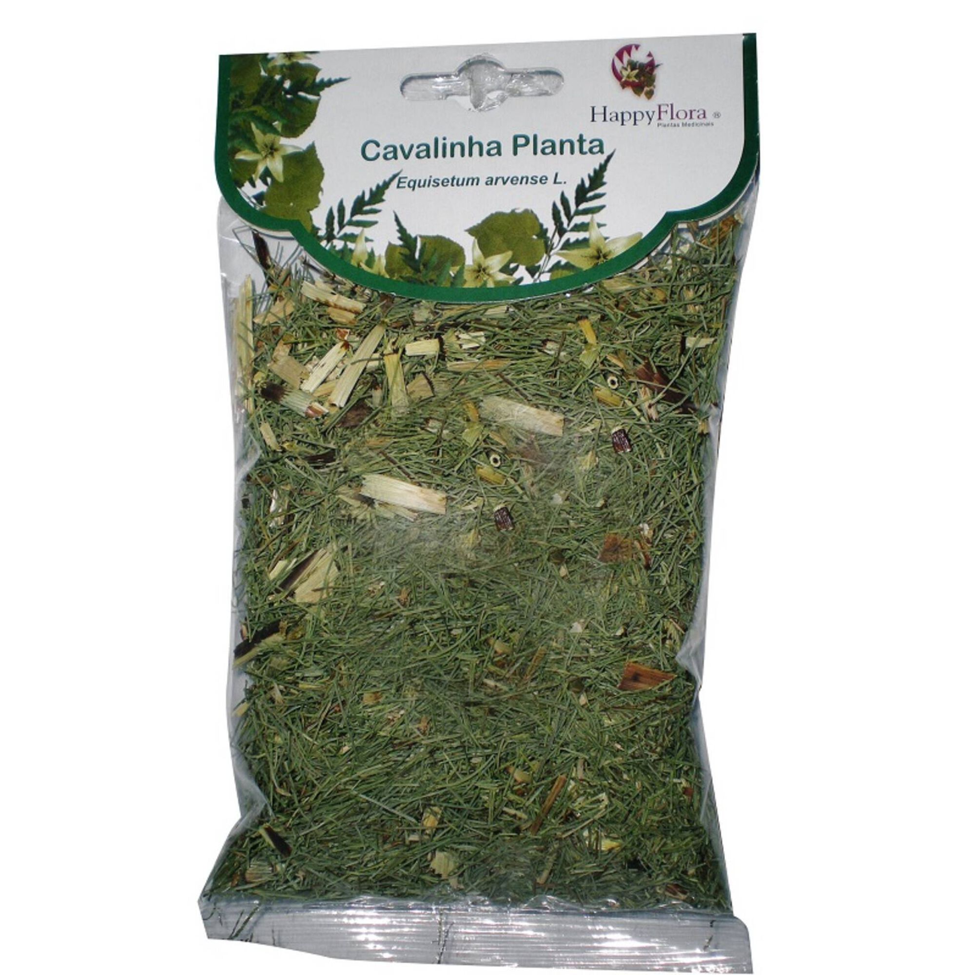 Chá Cavalinha Planta