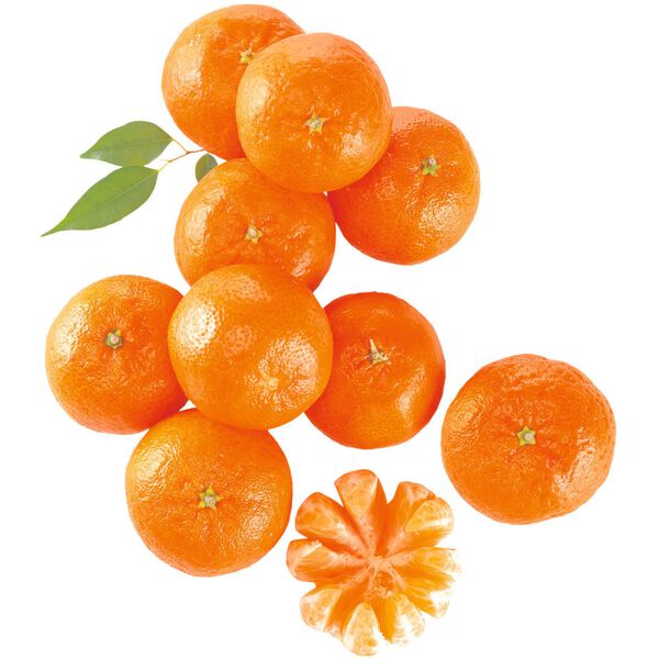 Clementina/Mandarina Continente