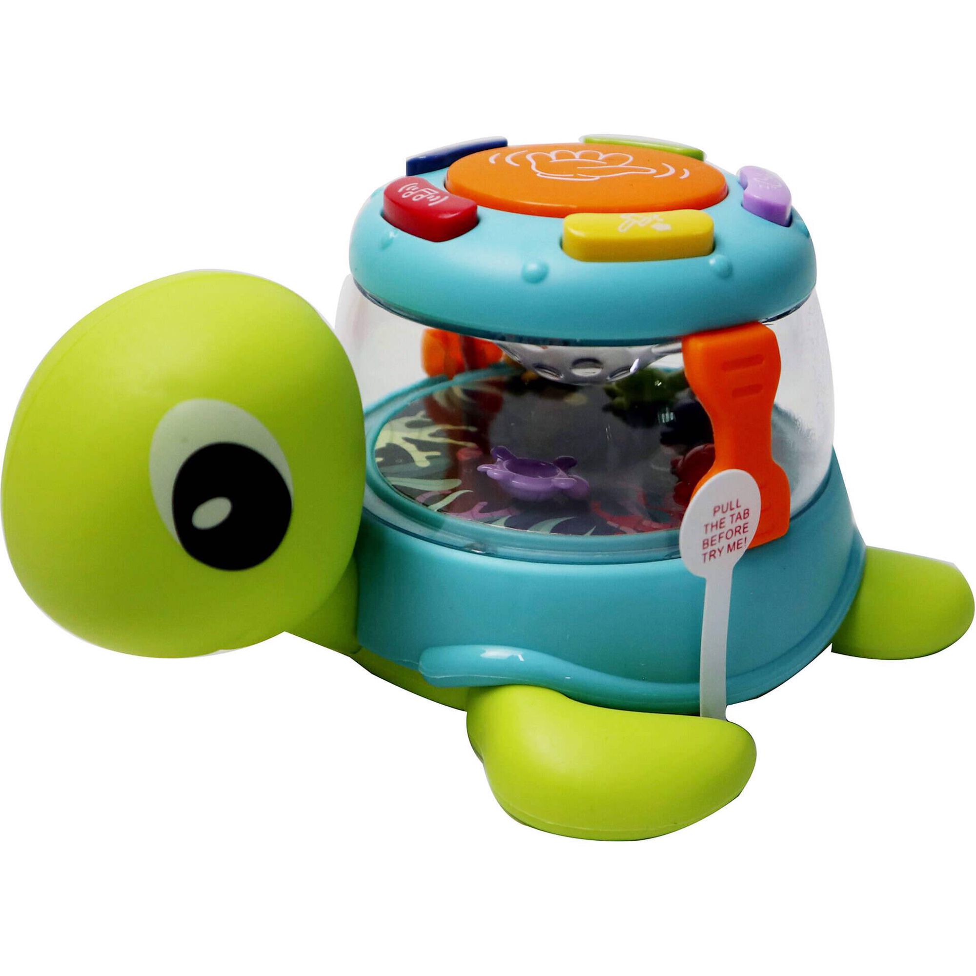 Tartaruga e Carangueijo Divertidos