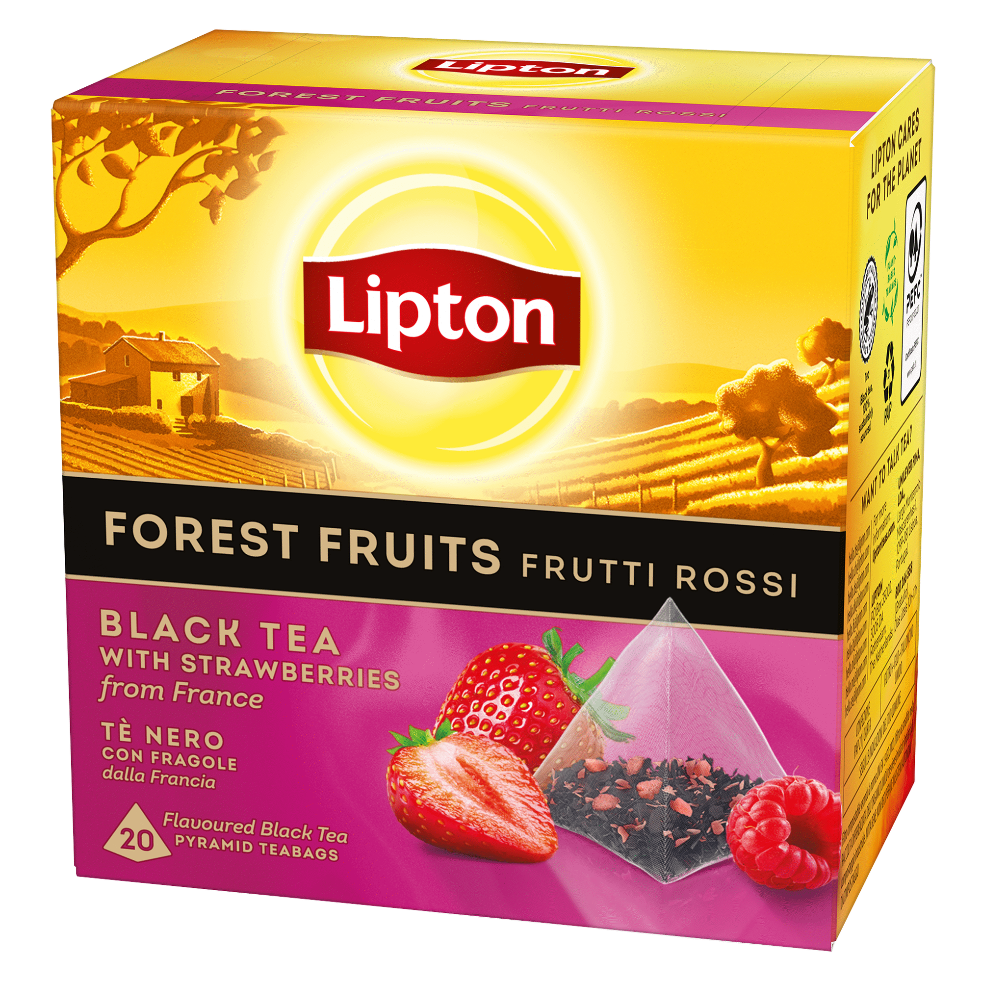 Ch&aacute; Preto e Frutos Silvestres Pyramid Saquetas Lipton
