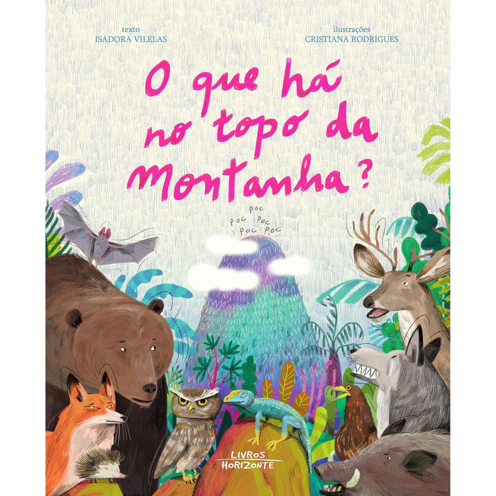 O que H&aacute; no Topo da Montanha? de Isadora Vilelas