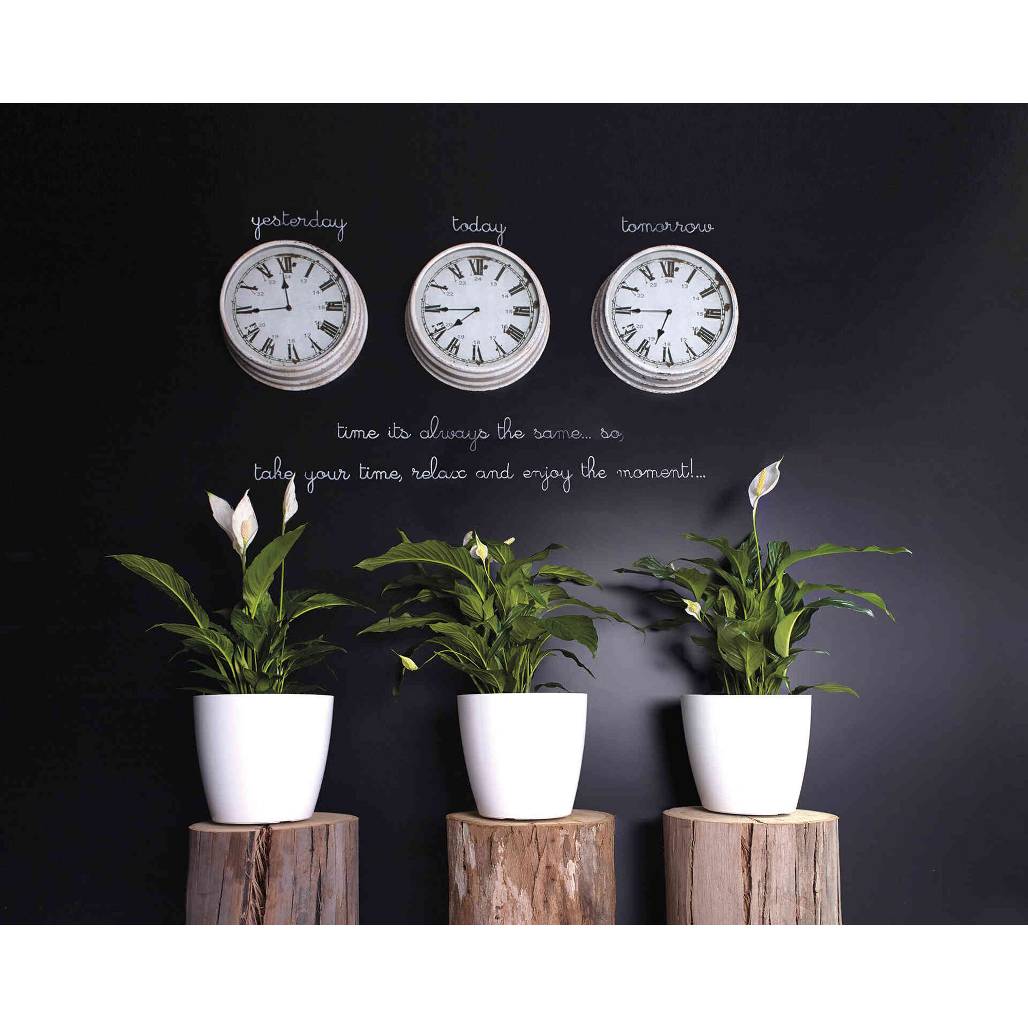 Vaso Redondo Plástico 12cm Transparente