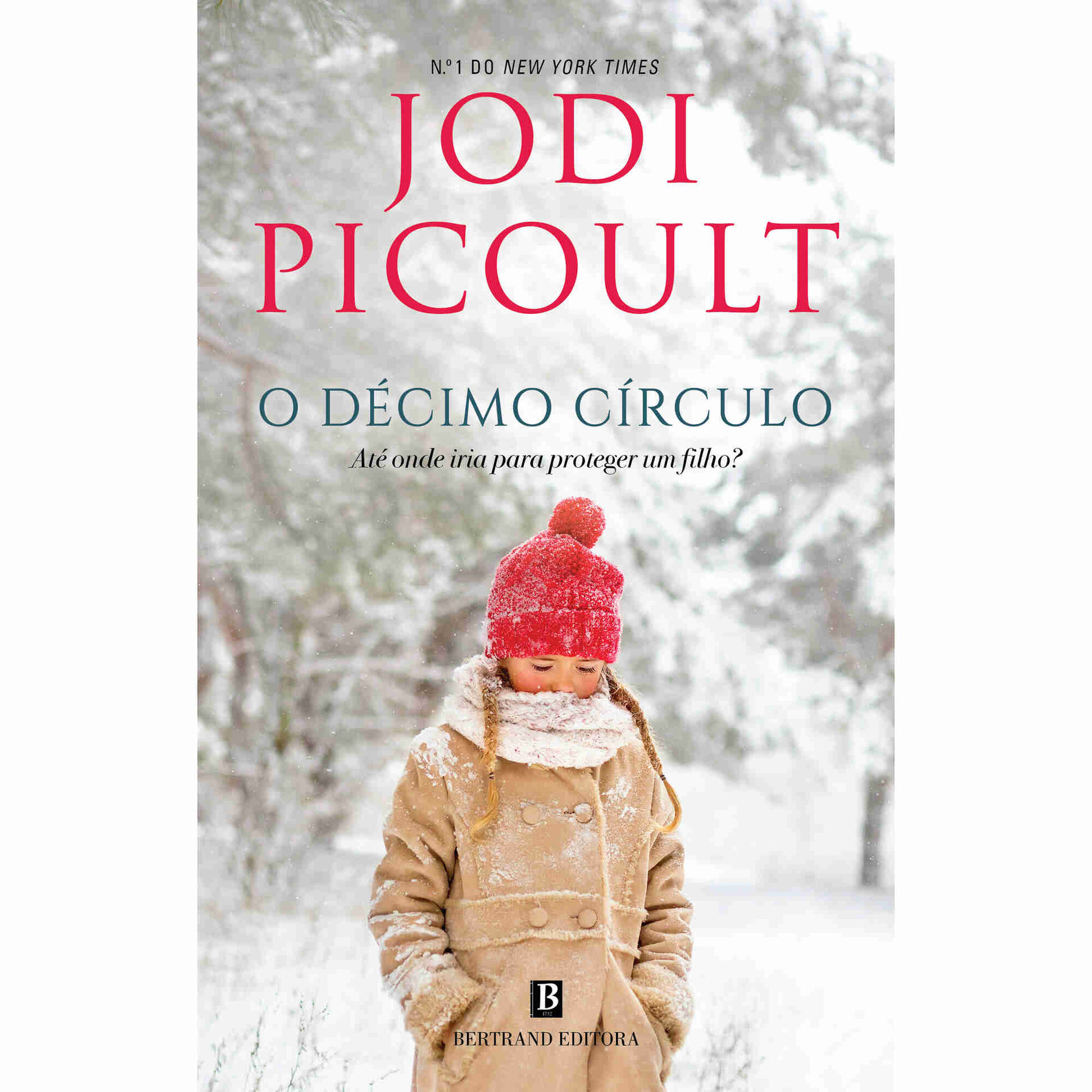 O D&eacute;cimo C&iacute;rculo de Jodi Picoult