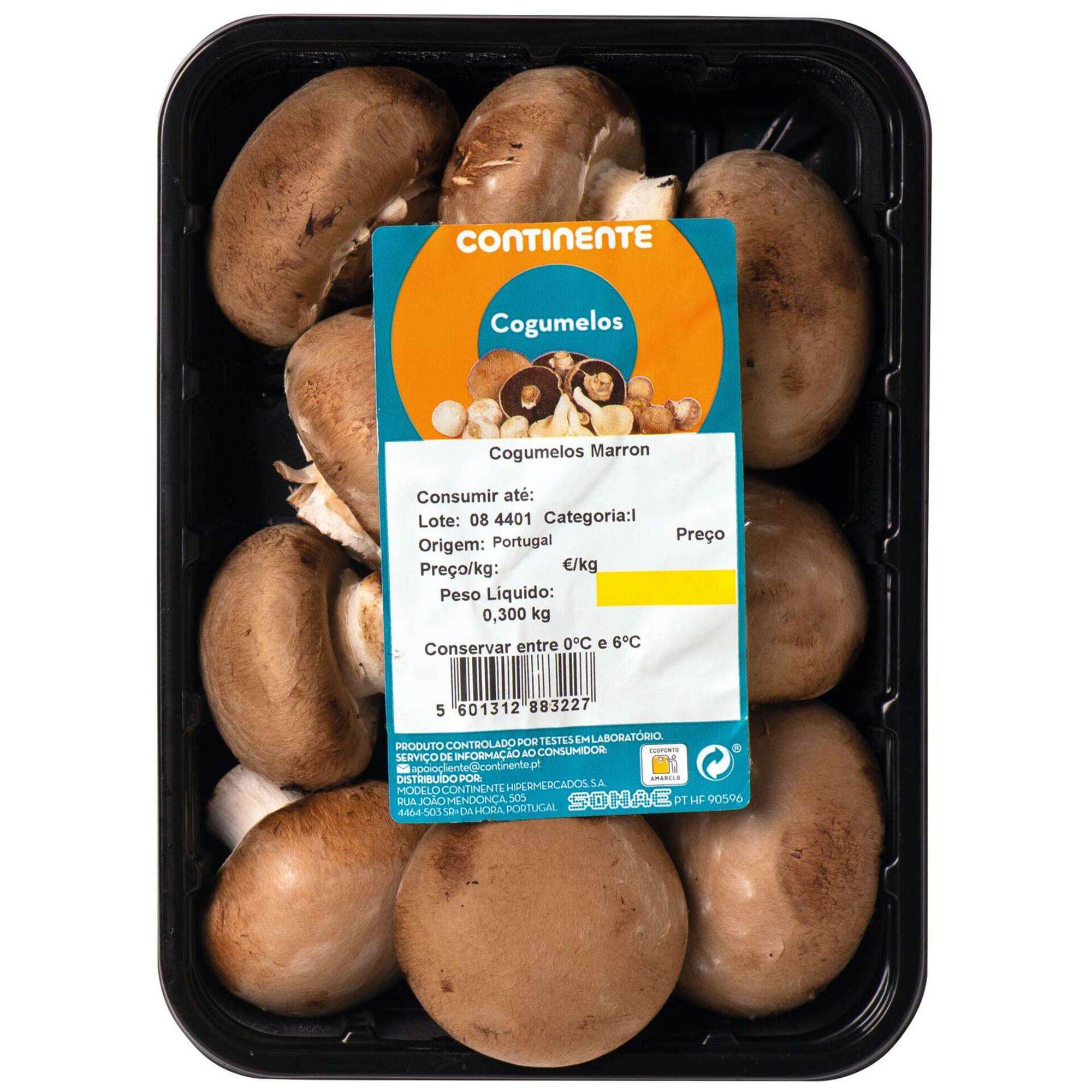 Cogumelo Marron Cogumelo Marron