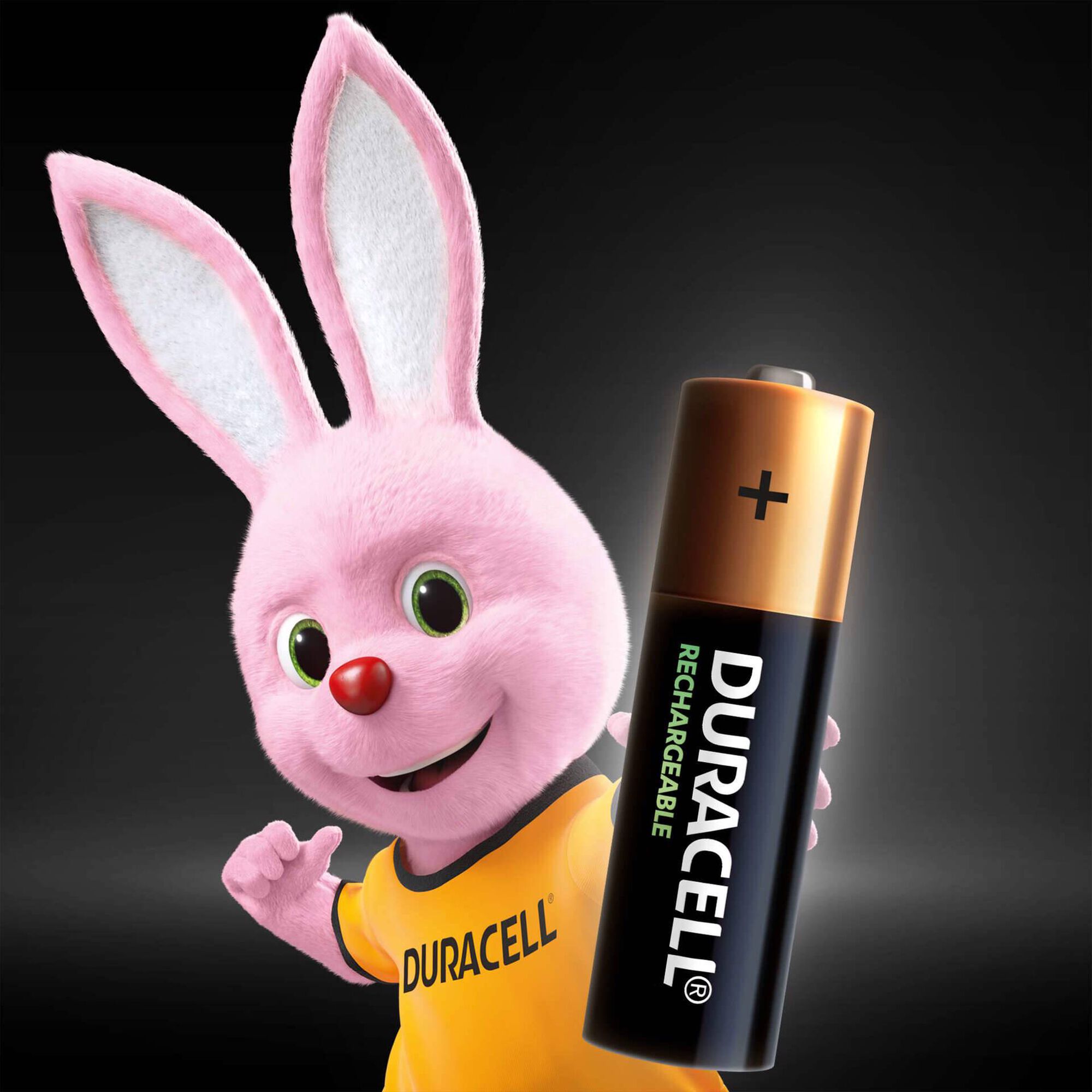 Pilhas Recarregáveis AA 2500mAh Pilhas Recarregáveis AA 2500mAh