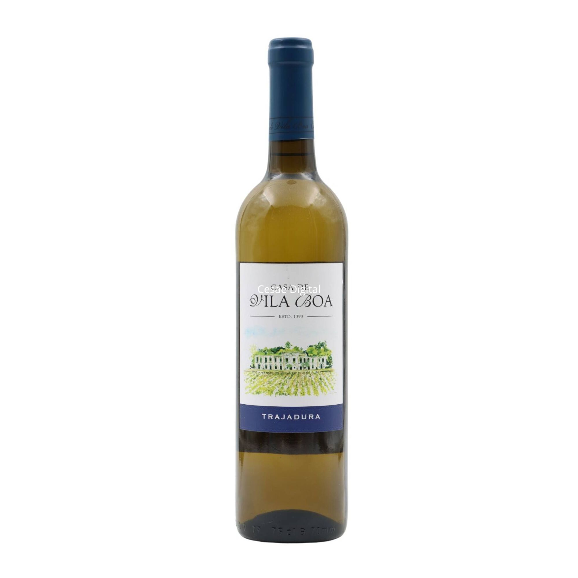 Casa Vila Boa Trajadura Vinho Verde Branco