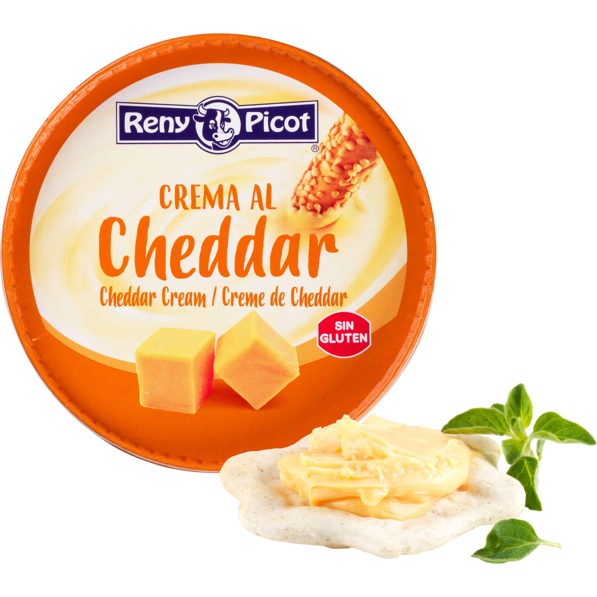 Queijo Creme Cheddar Reny Picot