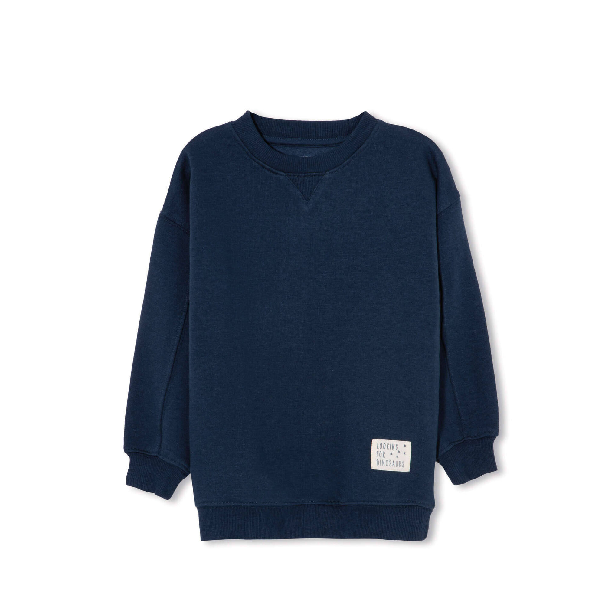 Sweatshirt Dinossauro Azul Escuro 13 - 14 Meses Menino Sweatshirt Dinossauro Azul Escuro 13 - 14 Meses Menino