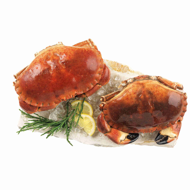 Sapateira Cozida Congelada