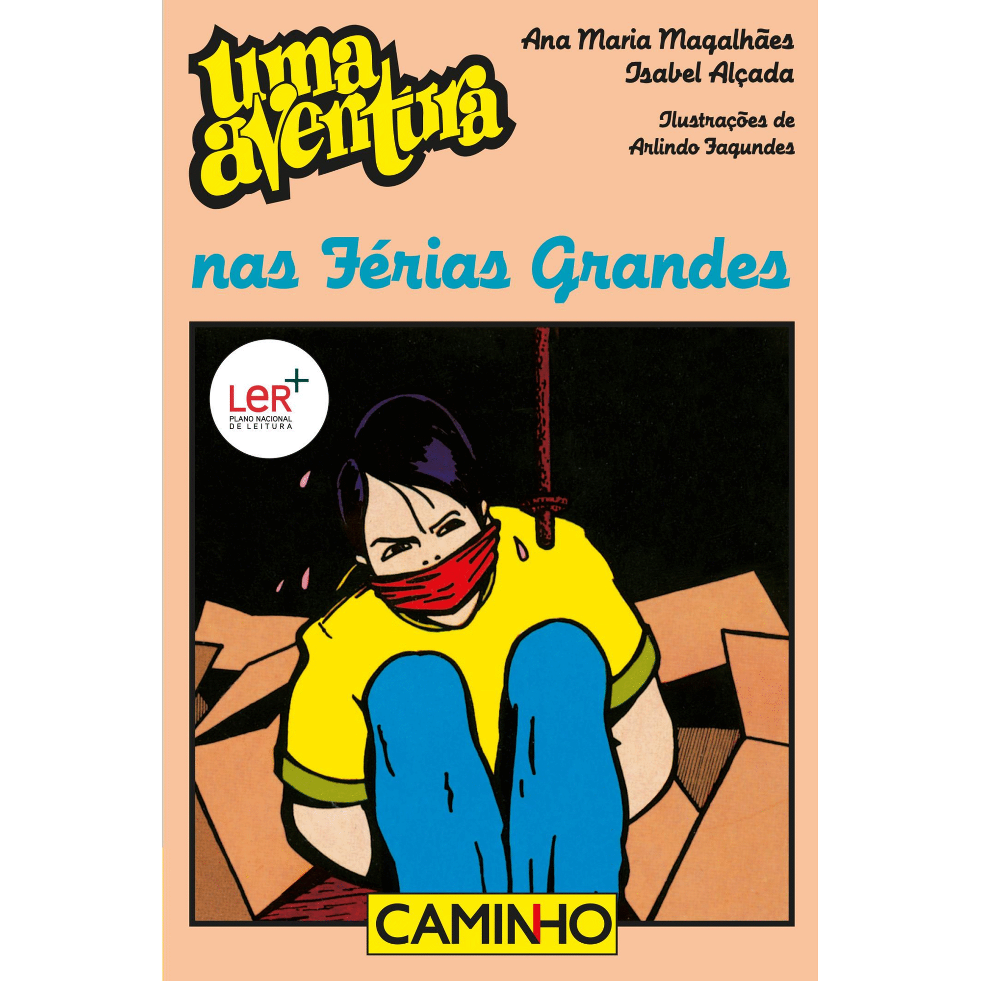 Uma Aventura nas Férias Grandes