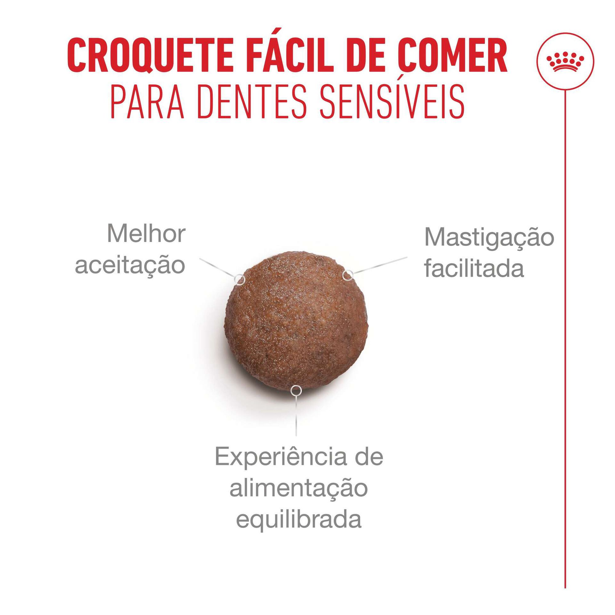 Ra&ccedil;&atilde;o para Gato S&eacute;nior Ageing+11 Royal Canin