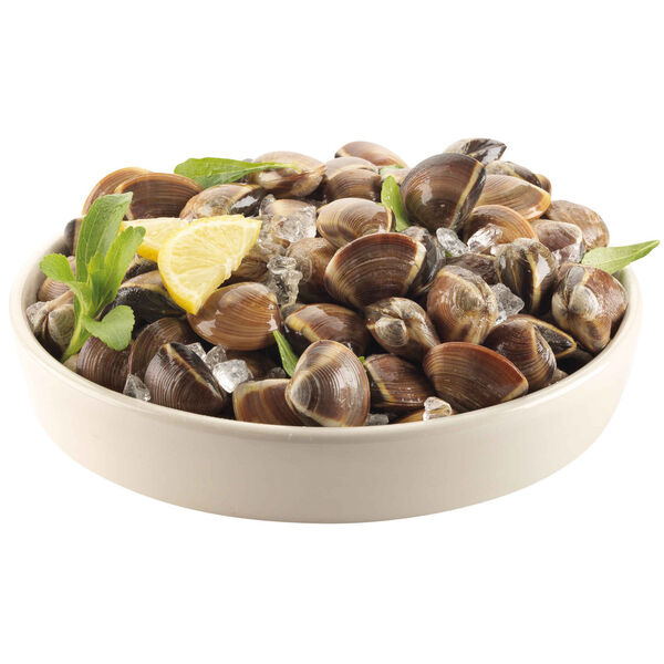 Amêijoa Vietnamita Castanha Congelada