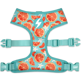 Peitoral para C&atilde;o Eco Caribe 2XL Dashi
