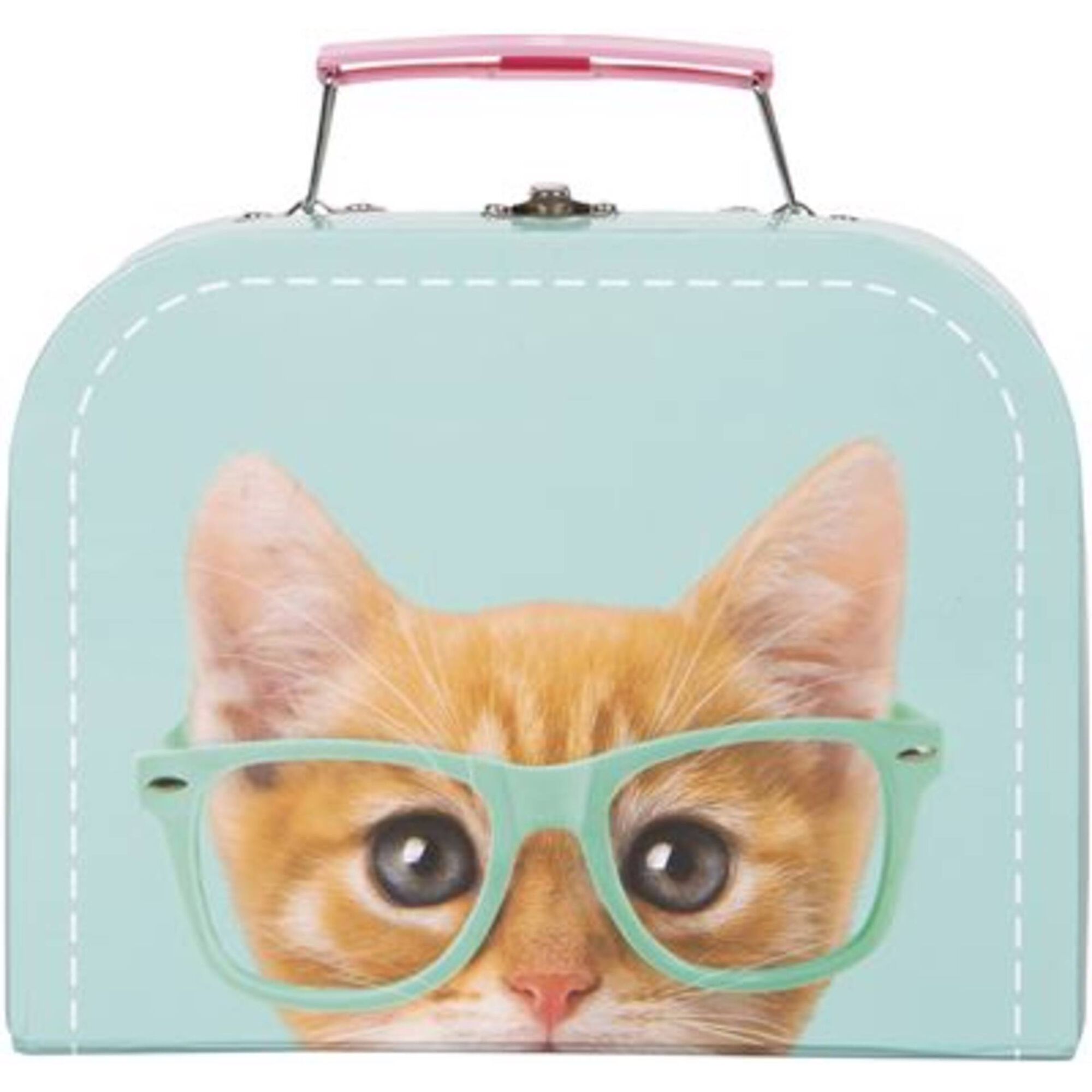 Studio Pets - Rayben