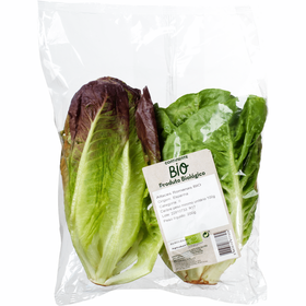 Alface Romana Biol&oacute;gica