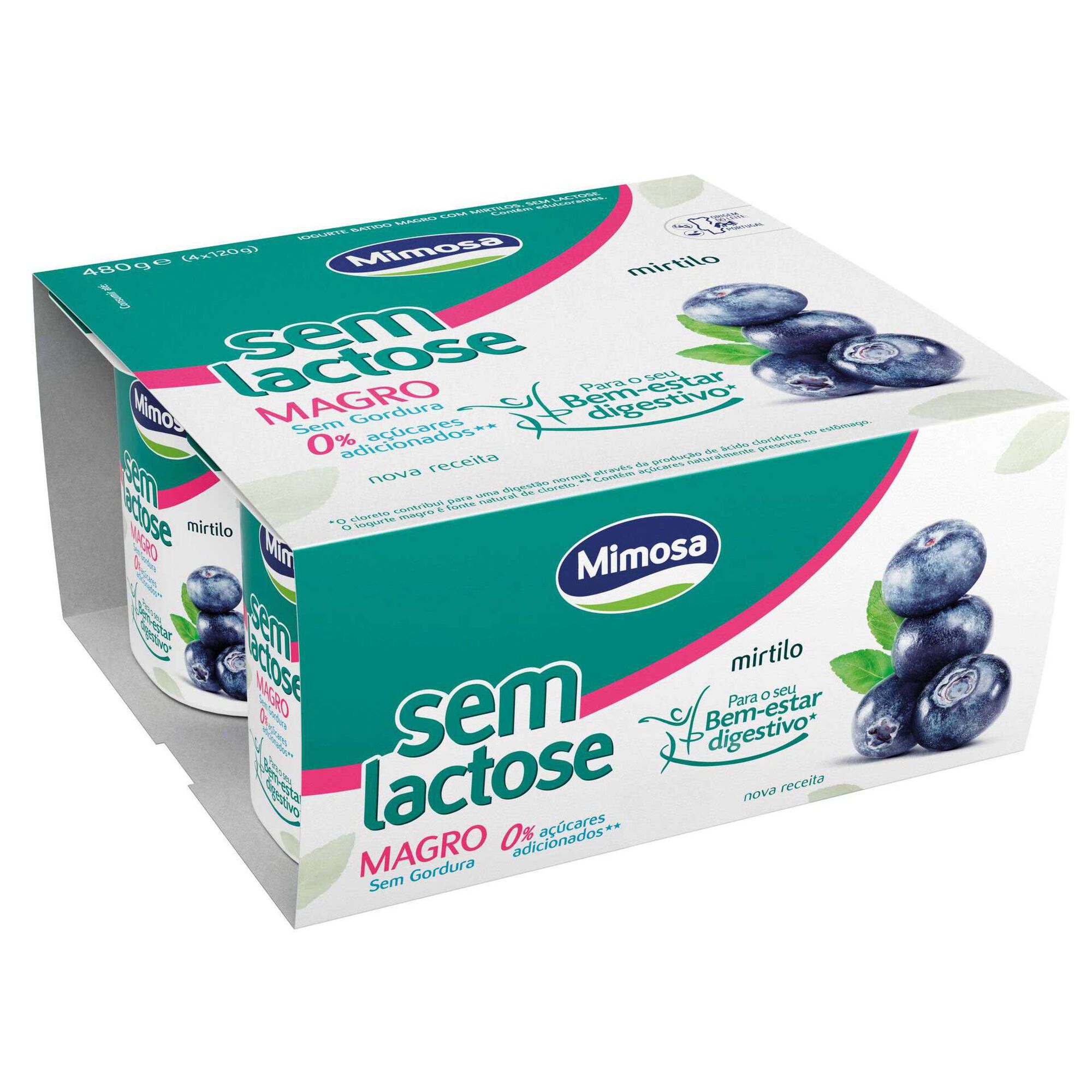 Iogurte Magro Mirtilo sem Lactose