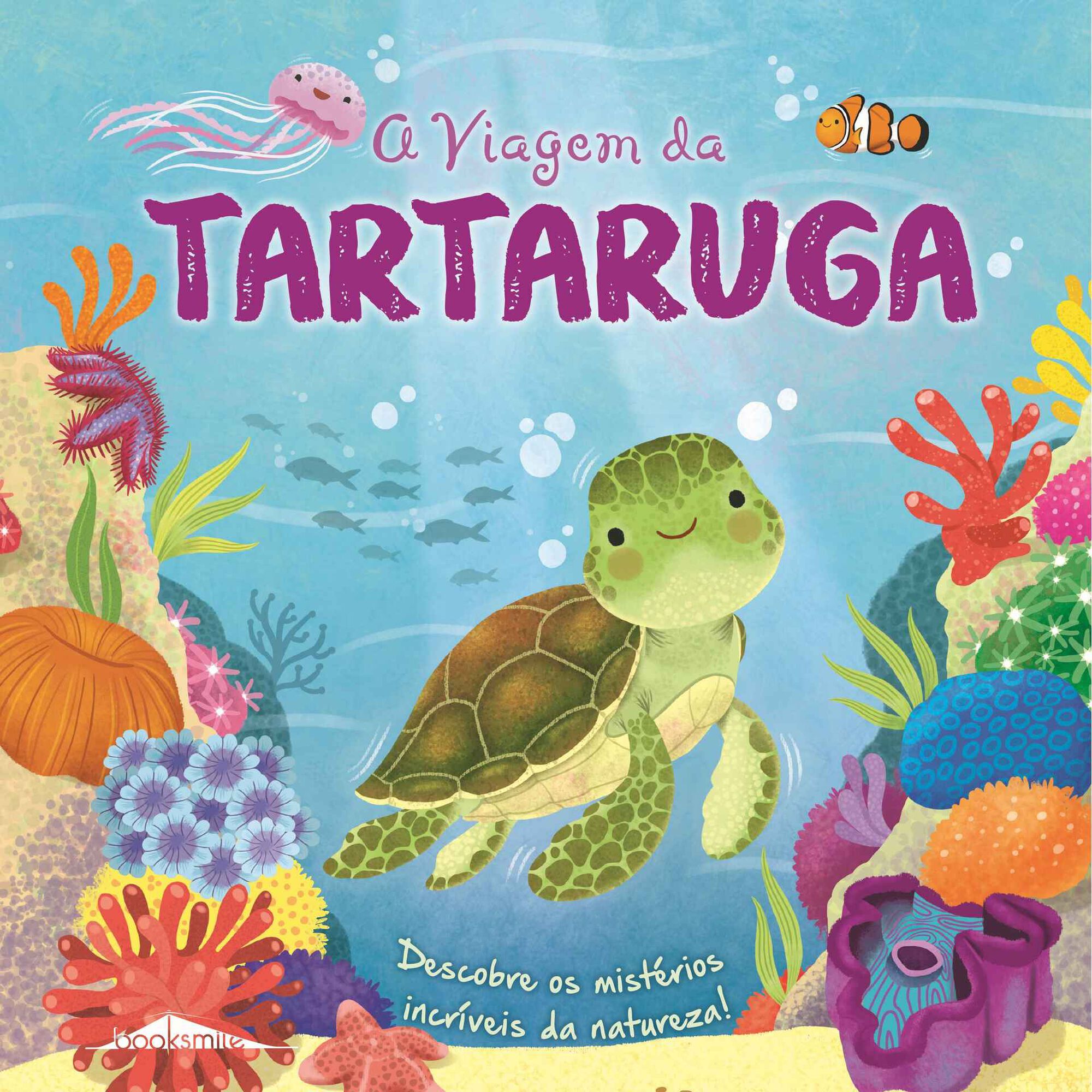 Ciclos da Natureza Nº 6 - A Viagem da Tartaruga