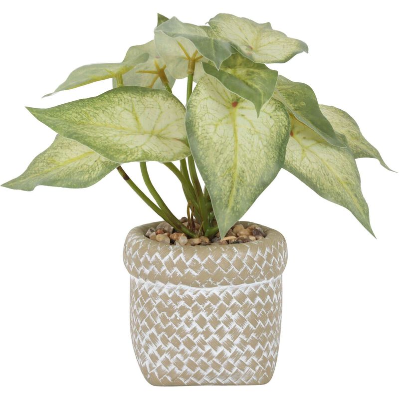 Planta Artificial com Vaso Cimento Entrançado Kasa