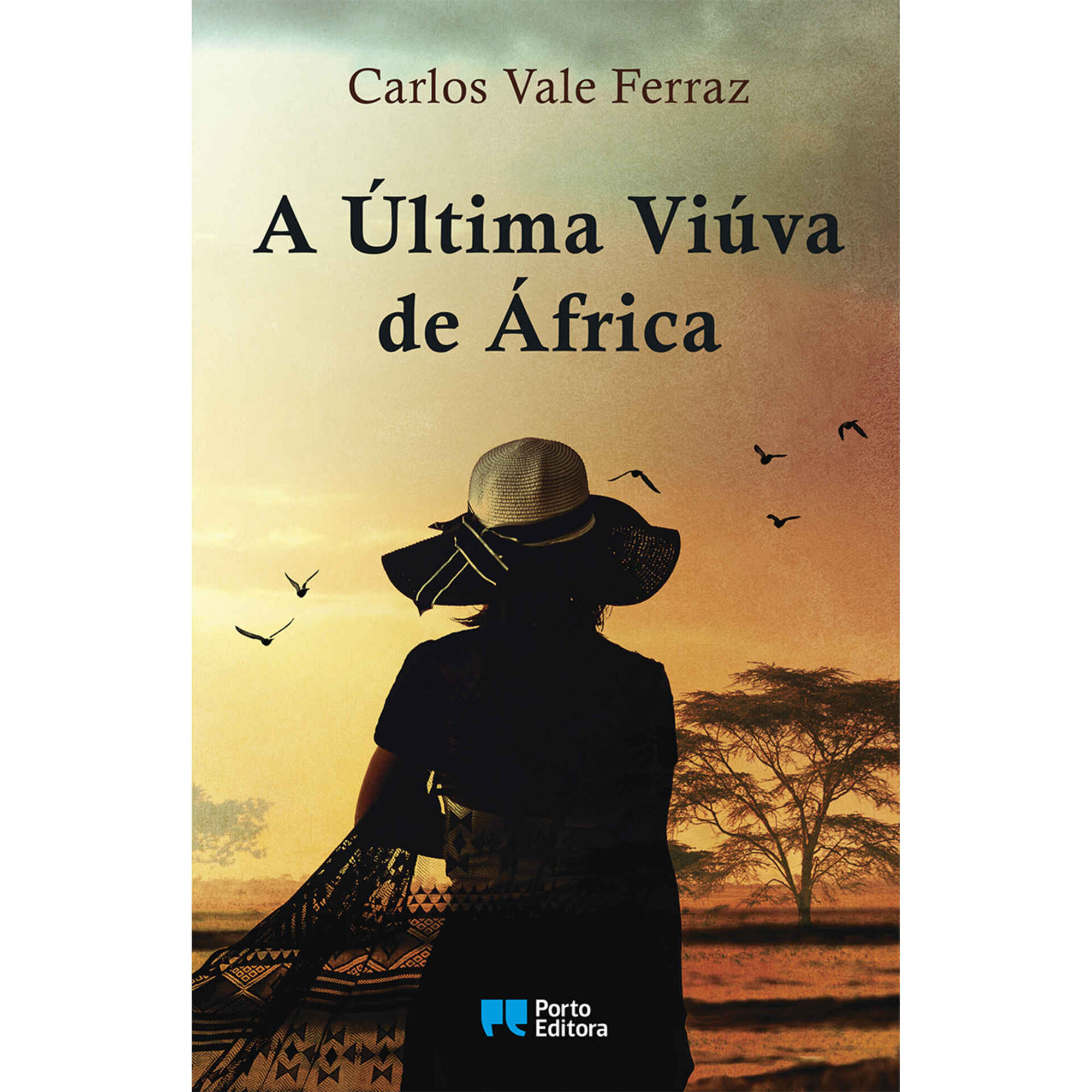 A &Uacute;ltima Vi&uacute;va de &Aacute;frica de Carlos Vale Ferraz