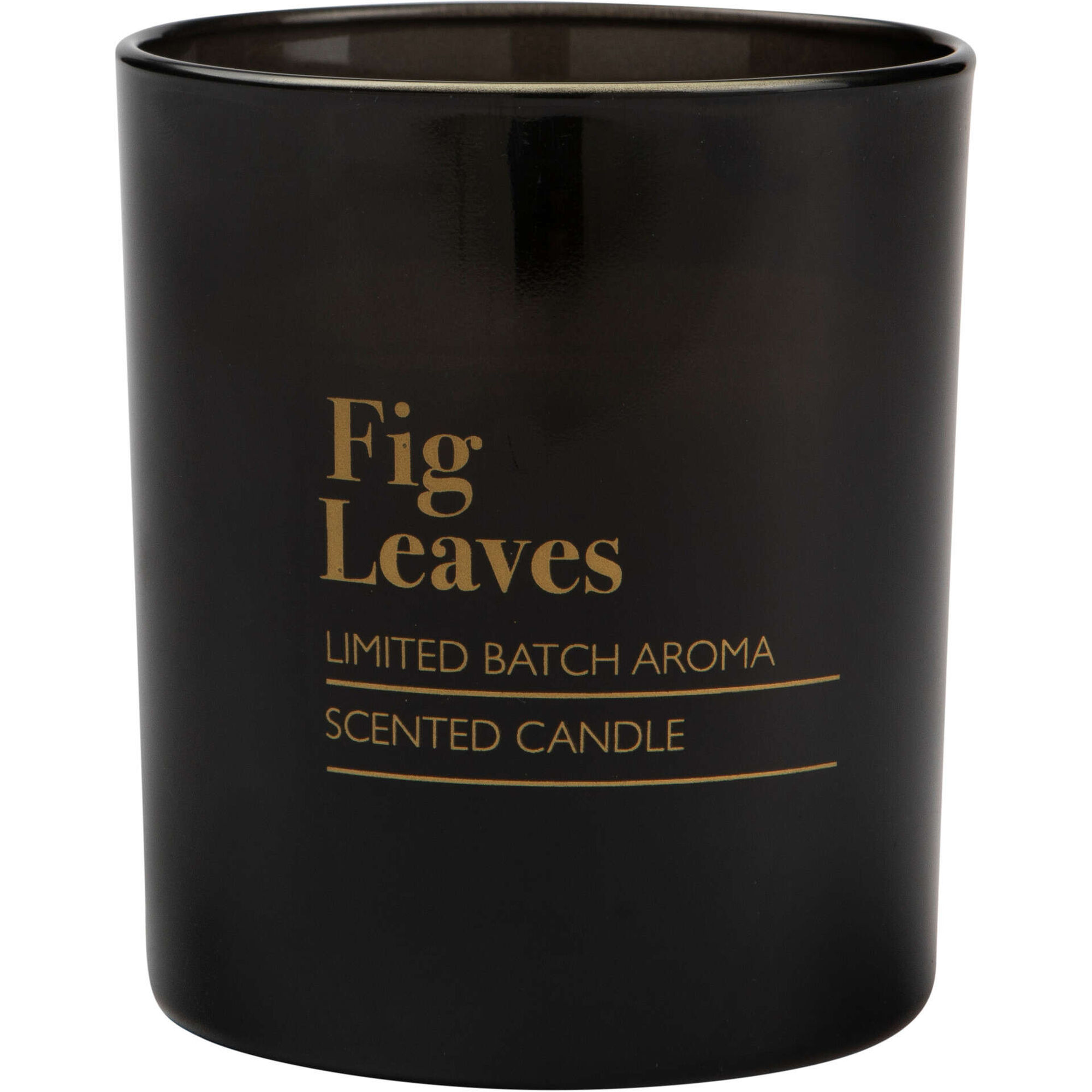 Vela em Copo com Tampa 165g Fig Leaves Kasa