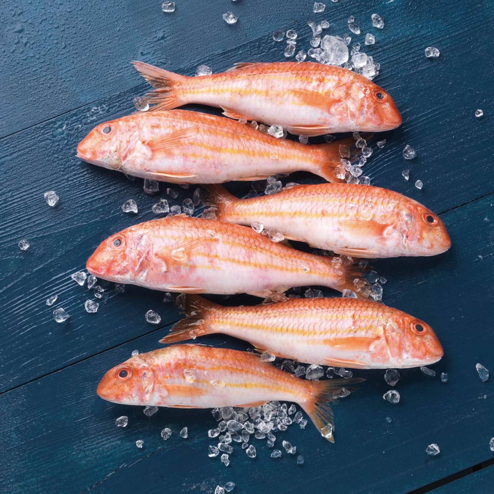 Salmonete Fresco