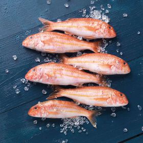Salmonete Fresco