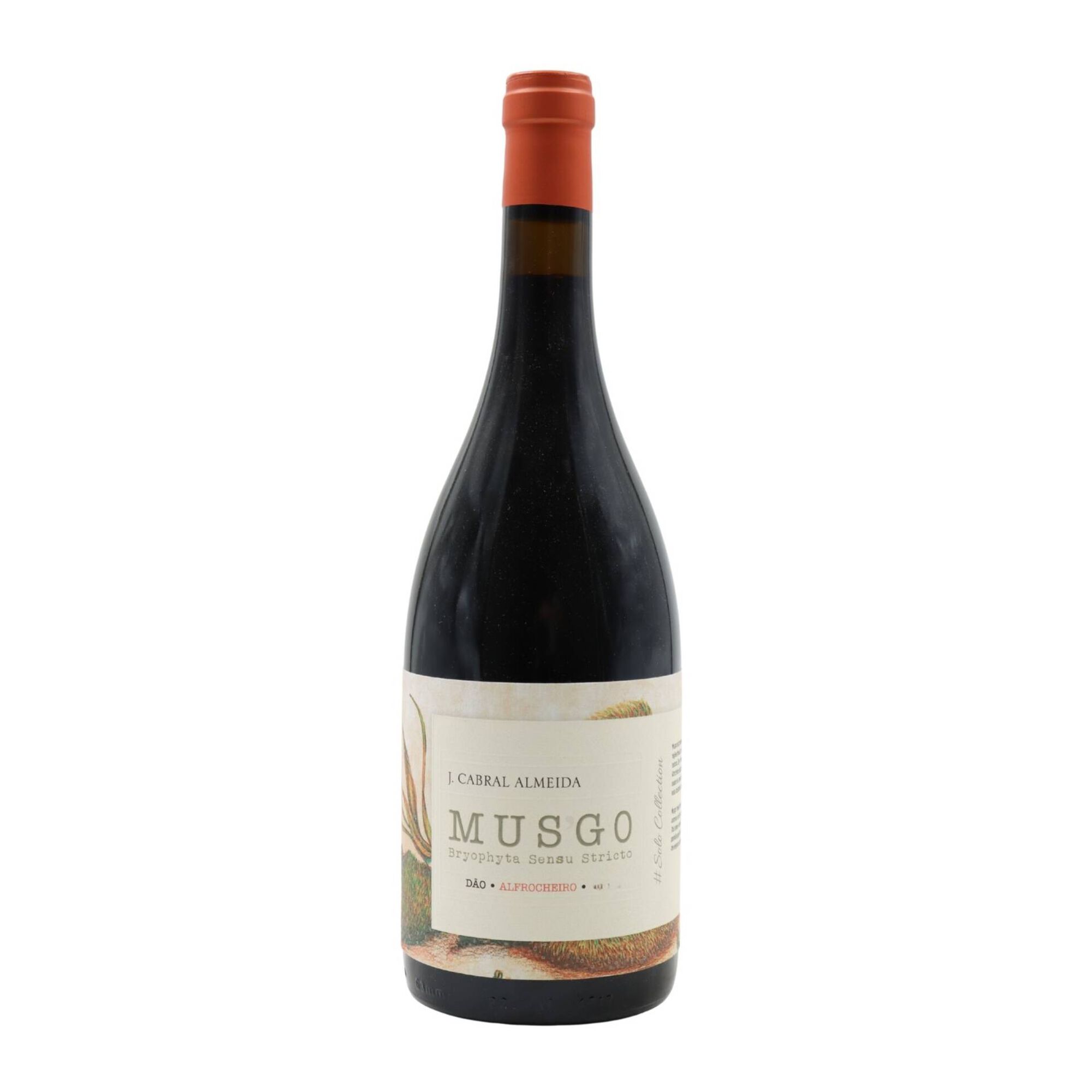 Musgo Alfrocheiro D&atilde;o Vinho Tinto