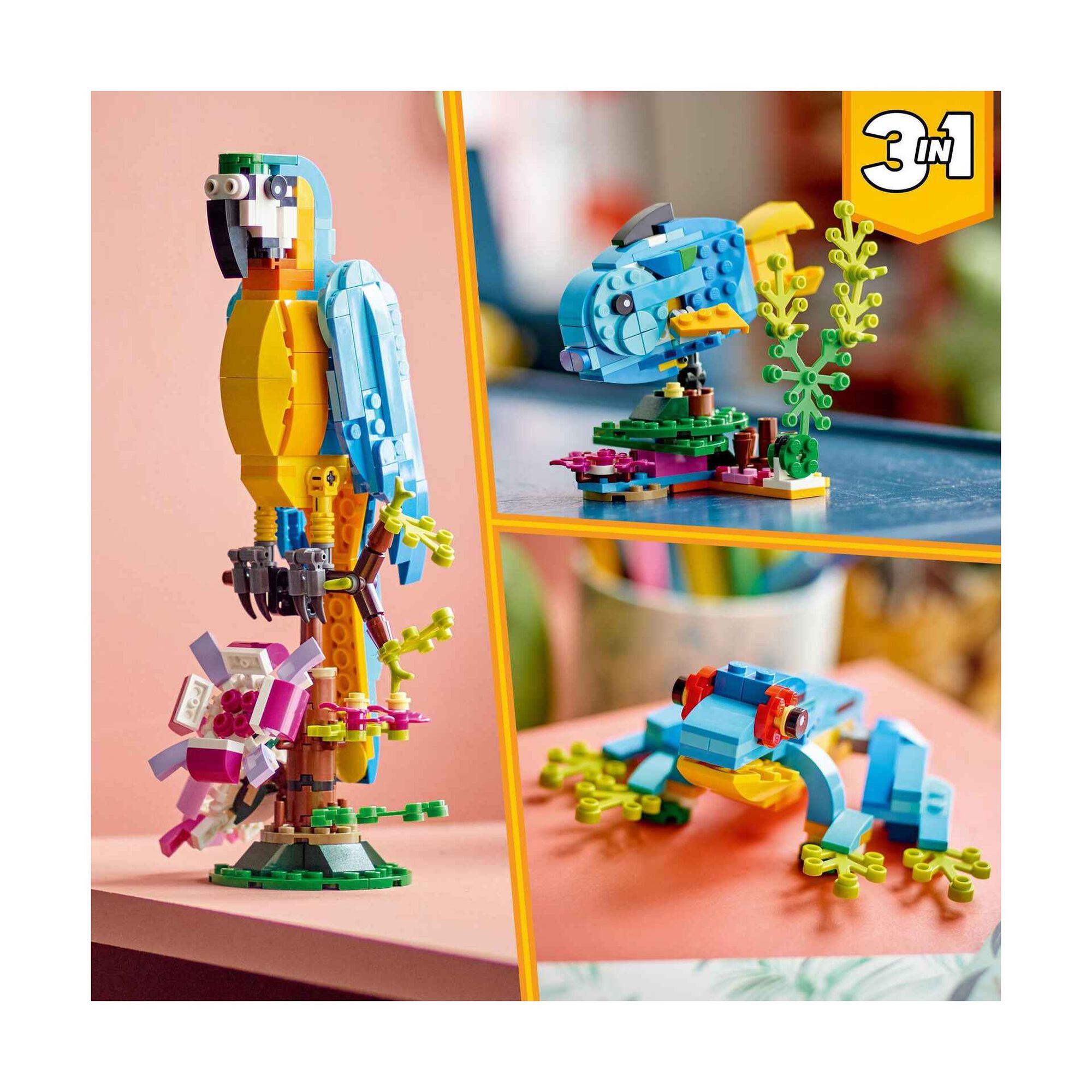 Papagaio Exótico - 31136 Papagaio Exótico - 31136