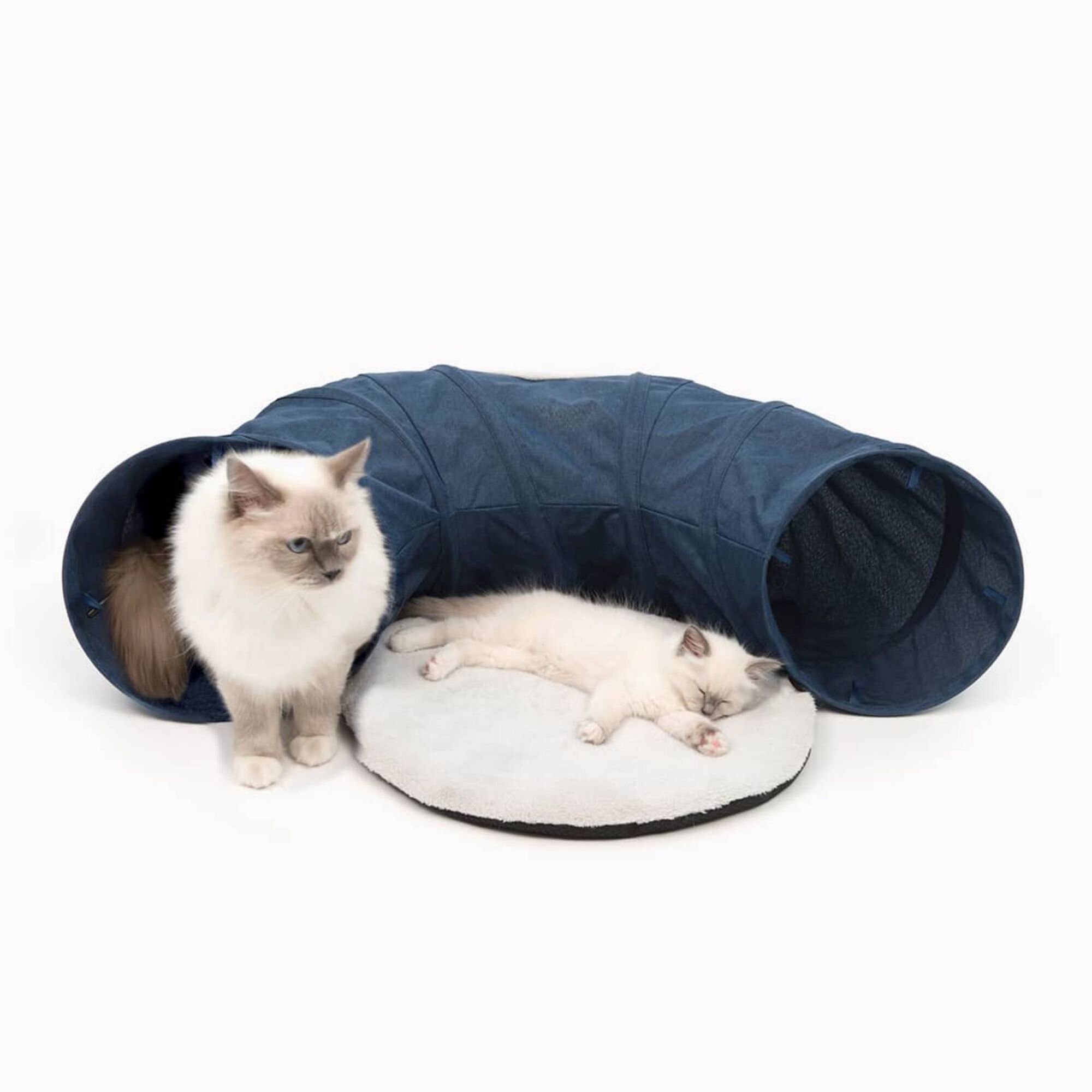 T&uacute;nel Azul com Cama Catit