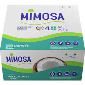 Iogurte Coco sem Lactose
