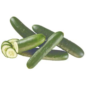 Pepino Continente