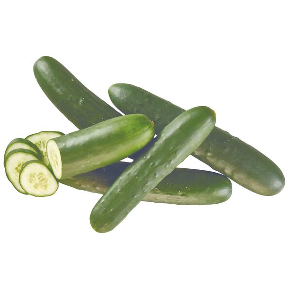 Pepino Continente
