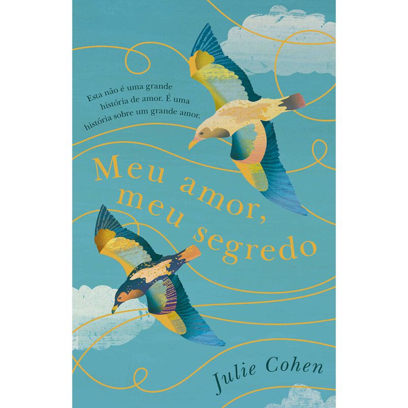Meu Amor, Meu Segredo de Julie Cohen