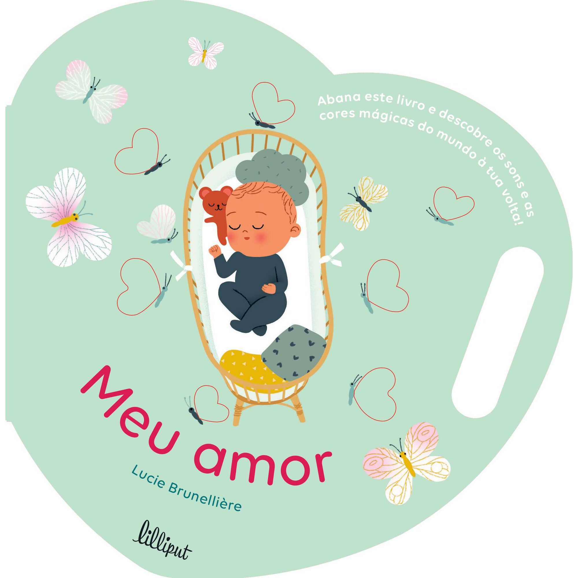 Meu Amor Meu Amor