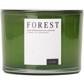 Vela em Copo com Tampa 2 Pavios Forest Verde Kasa