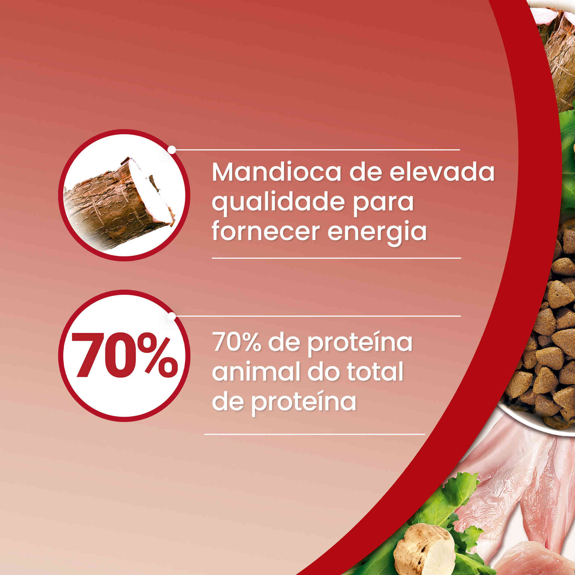 Ração para Cão Adulto Médio e Maxi Grainfree