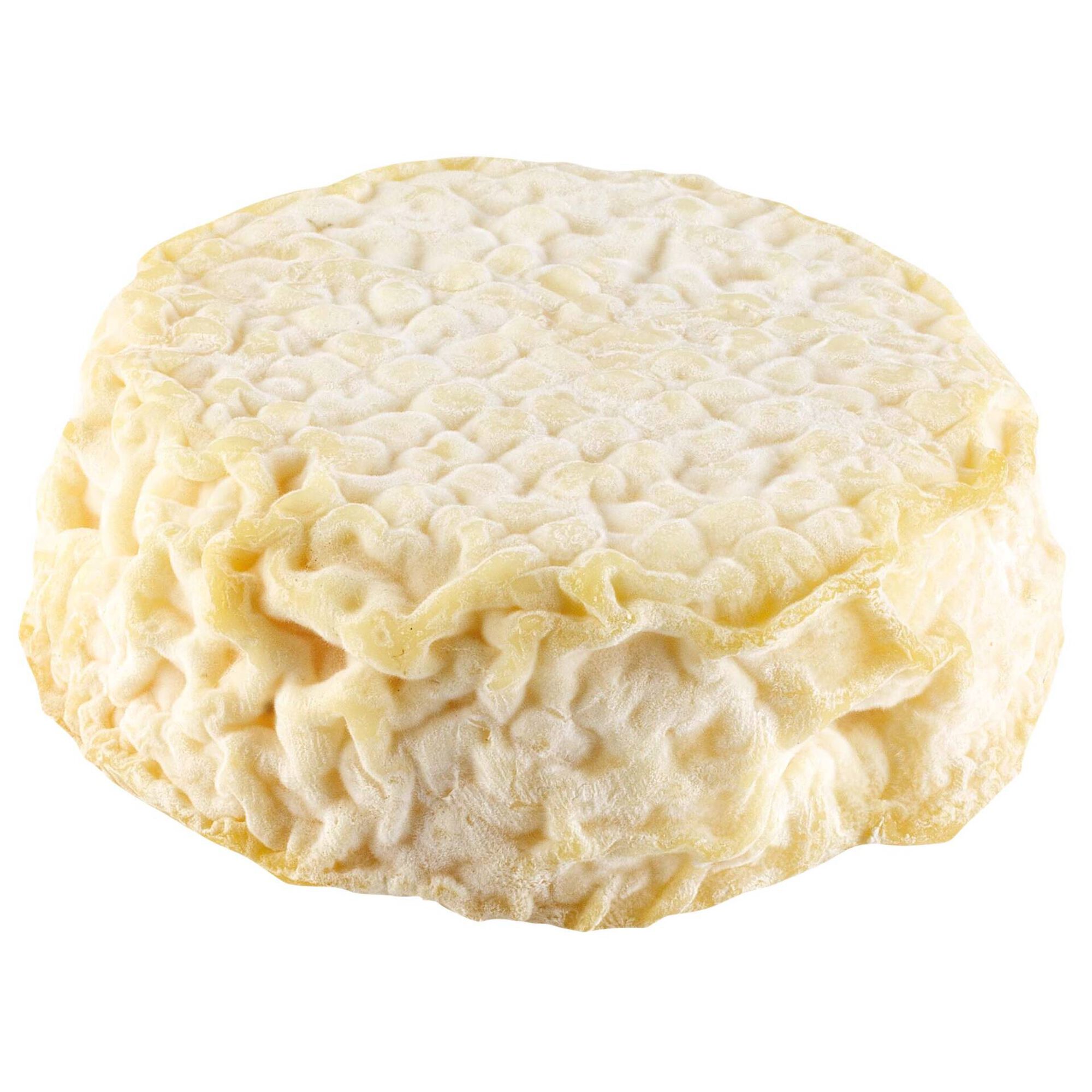 Queijo Cabra Veludo Curado Queijo Cabra Veludo Curado