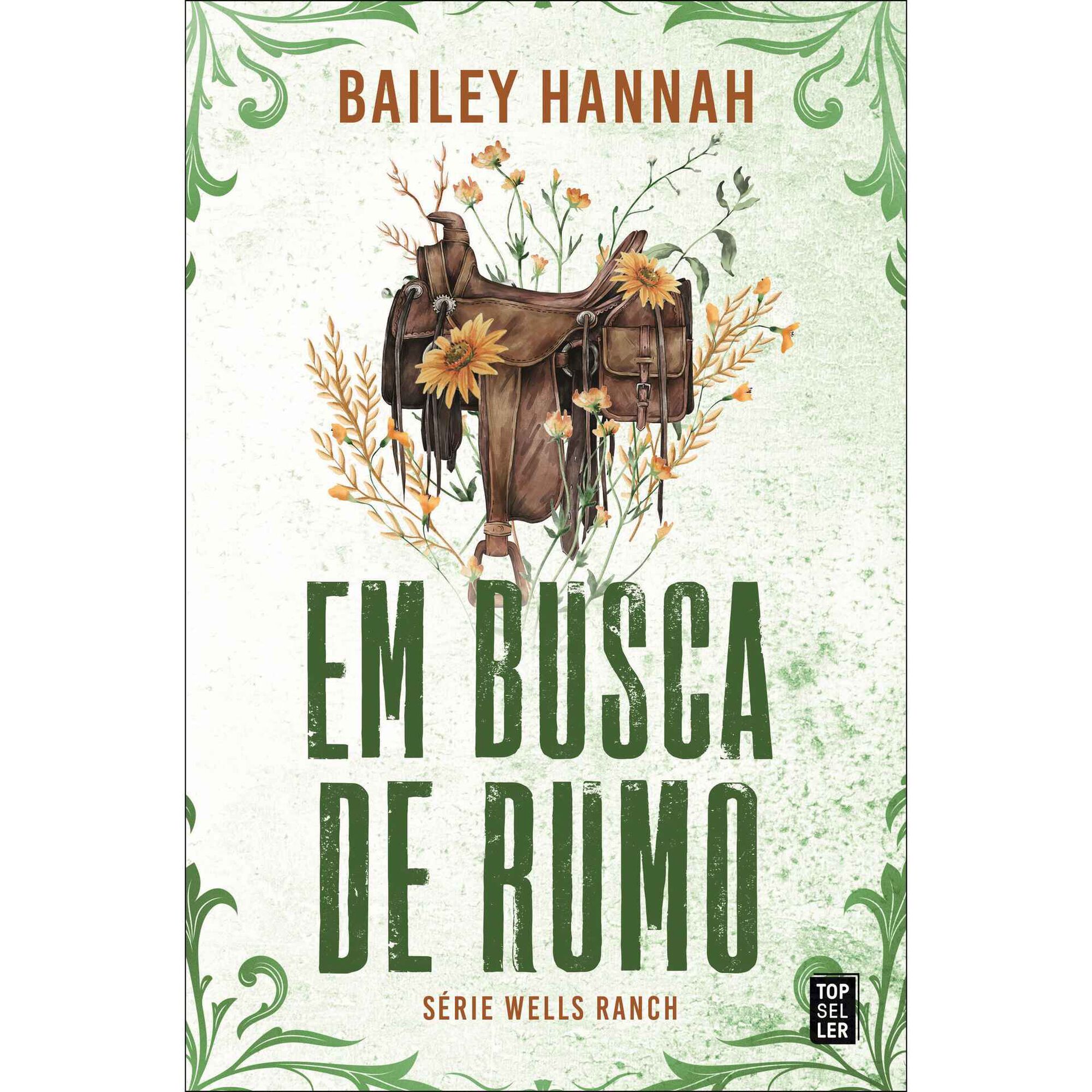 Em Busca de Rumo de Bailey Hannah