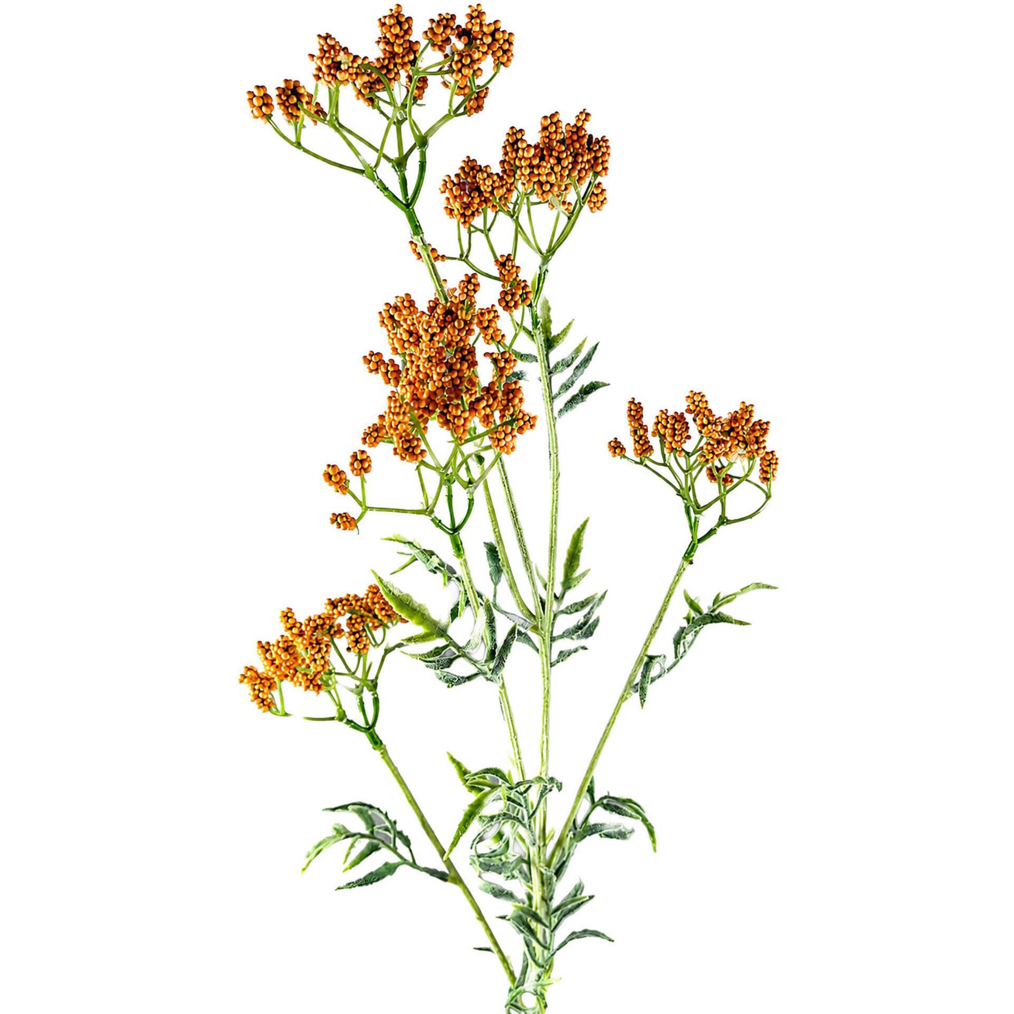 Haste Ramos Flores Laranja Kasa
