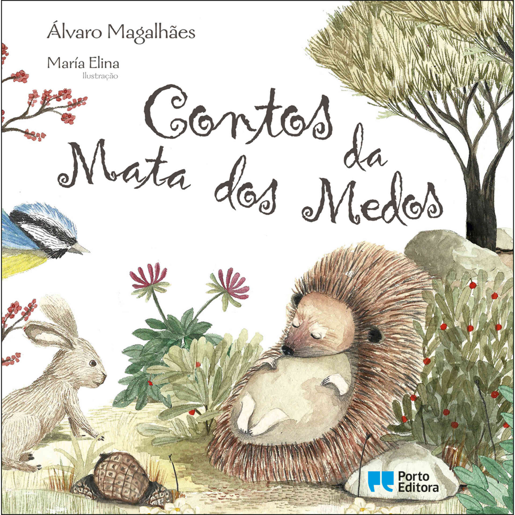 Contos da Mata dos Medos de &Aacute;lvaro Magalh&atilde;es