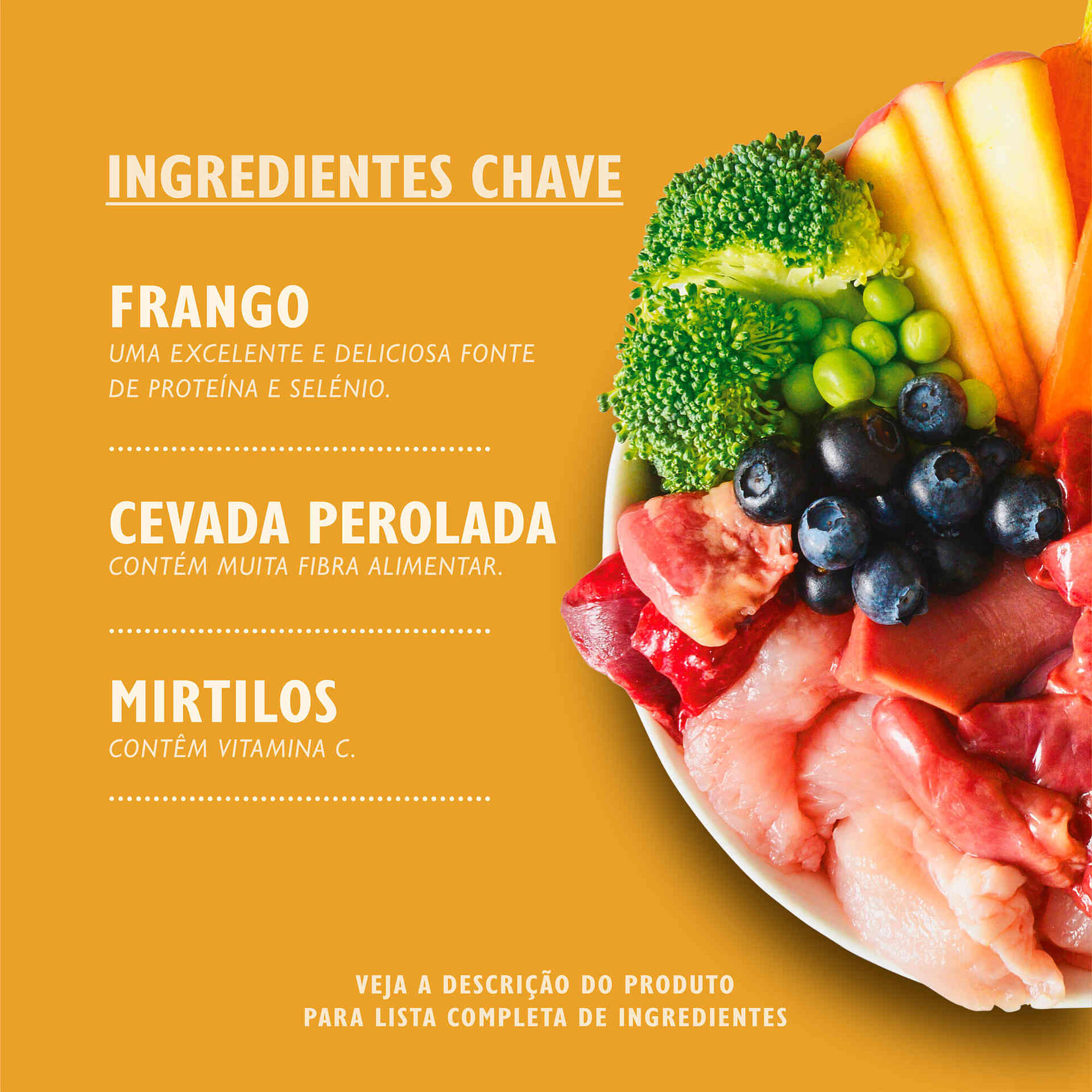 Comida H&uacute;mida para C&atilde;o Adulto Frango Peru em Lata Lily's Kitchen